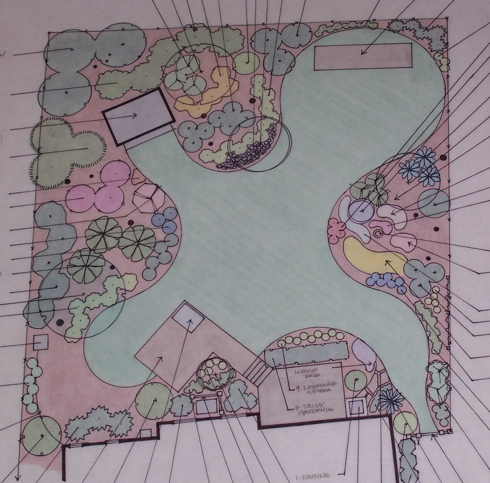 A hand-drawn, coloured plan of a back garden: a lawn shaped like a four-leaf clover, planting beds, trees, a patio and steps
